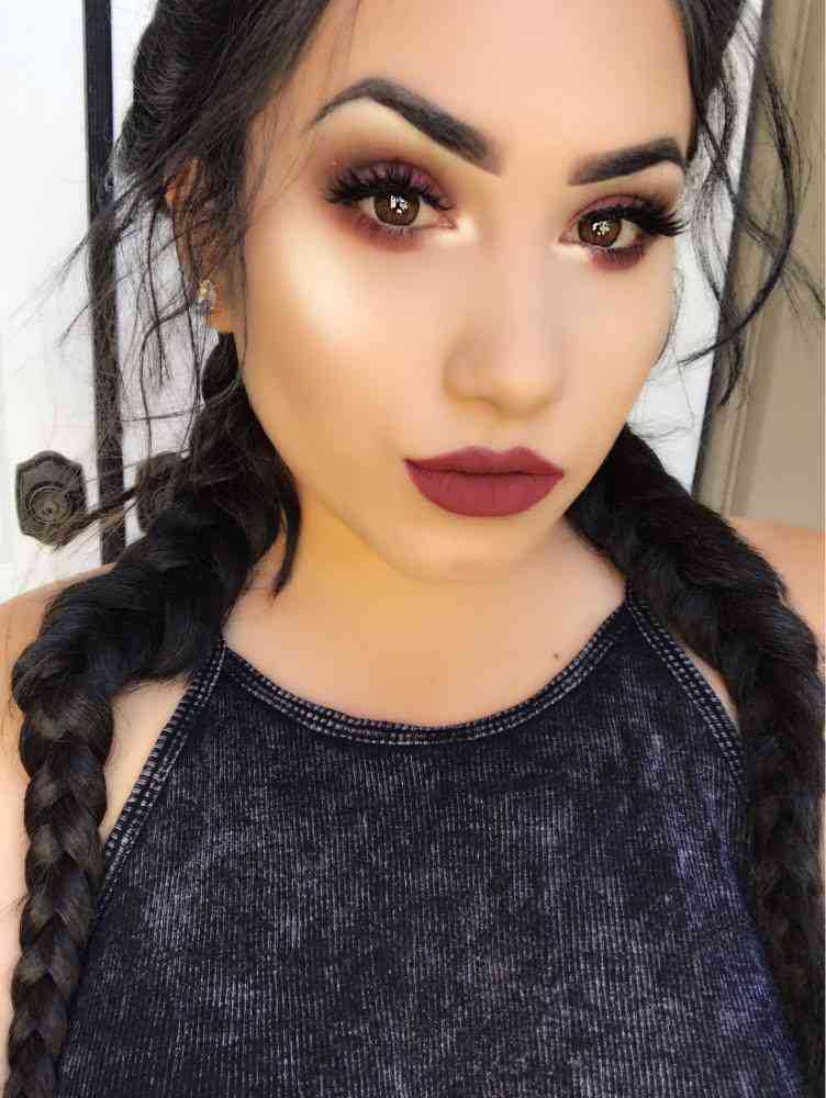 Double Twist Braid Lace Front Wig - Long Synthetic Braided Hair with Baby Hairs