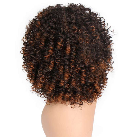 Curly Synthetic Wig - 16 Inch Heat Resistant Fiber with Natural Bounce
