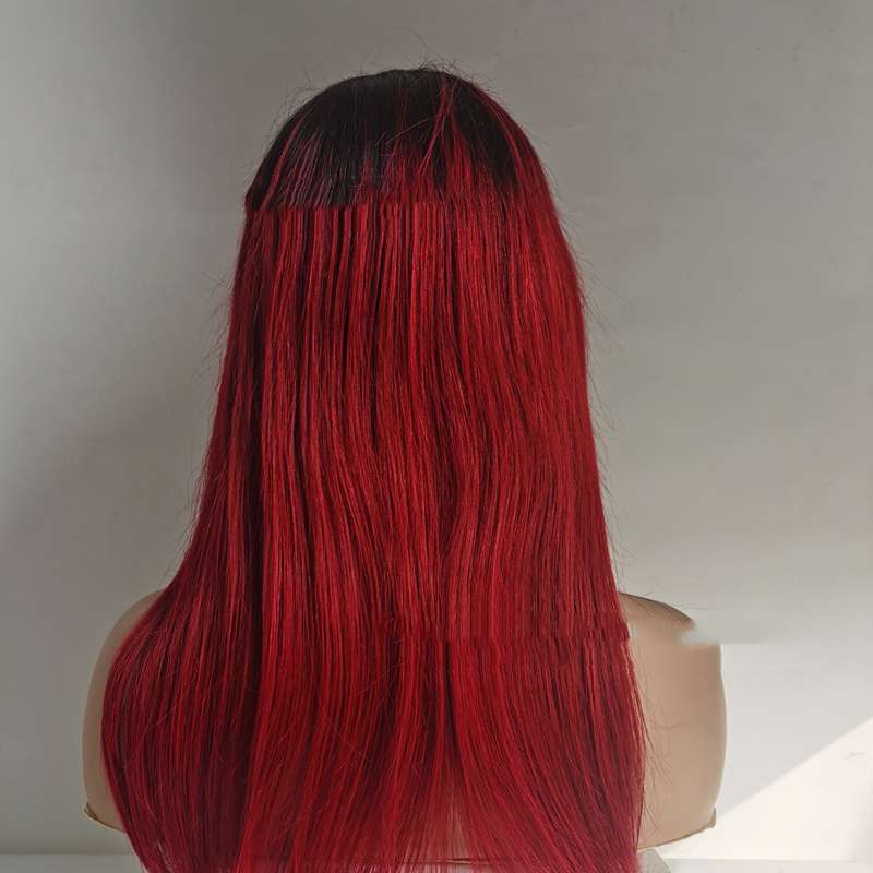 Premium Natural Human Hair Lace Front Wig - Silky Straight